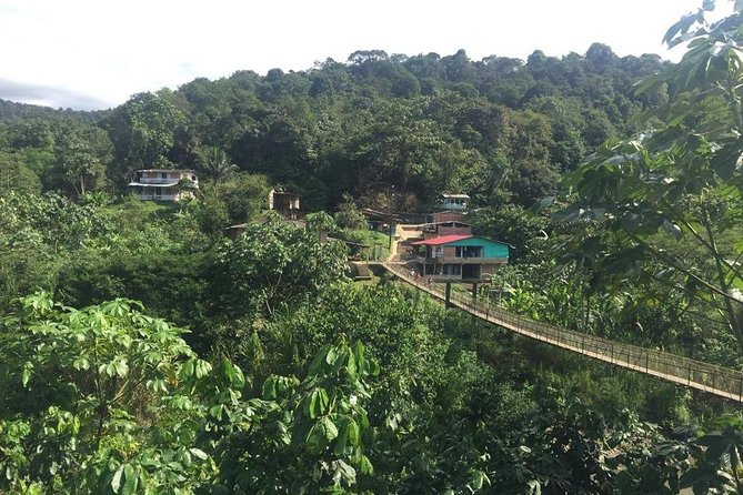 Thrilling San Cipriano River Adventure Awaits - Traveler Requirements and Limitations