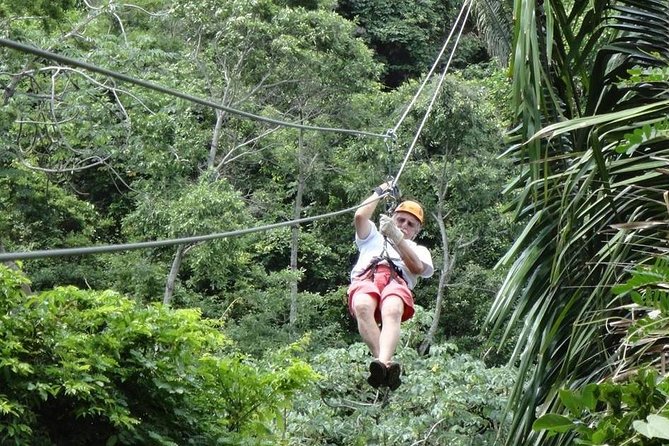 Thrilling Zip-Line Adventure With Sloths - Zip-Line Adventure Overview