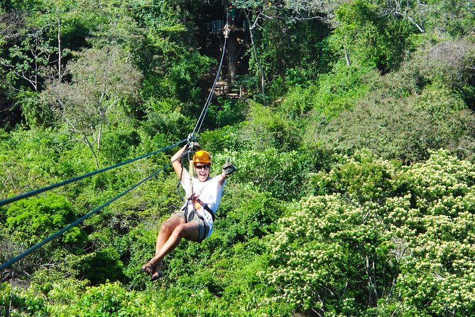 Thrilling Zip-Line Adventure With Sloths - Sloth Encounter Details