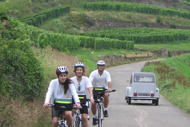 Through Alsace Vineyards and Wine Villages Private Bike Tour - Inclusions