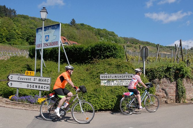 Through Alsace Vineyards and Wine Villages Private Bike Tour - Cancellation Policy