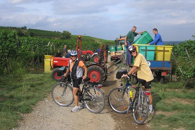 Through Alsace Vineyards and Wine Villages Private Bike Tour - Weather and Refund Policy