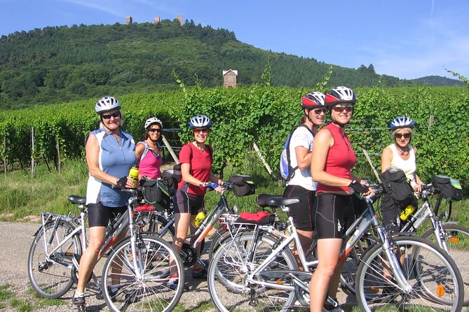 Through Alsace Vineyards and Wine Villages Private Bike Tour - Traveler Photos
