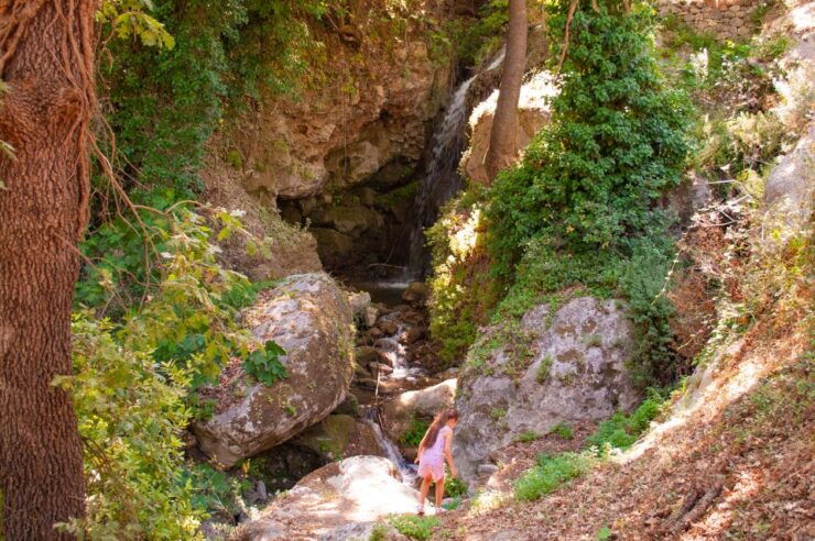 Through Heart of Crete to South & Wine Tasting Private Tour - Experience