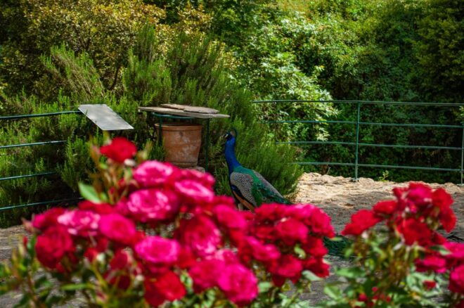 Through Heart of Crete to South & Wine Tasting Private Tour - Highlights