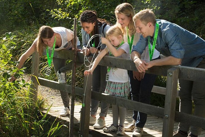 Thun Foxtrail Castello - Pricing and Booking