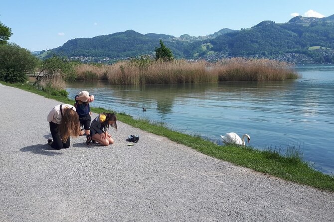 Thun Themed Foxtrail Energyfox - Meeting and Pickup
