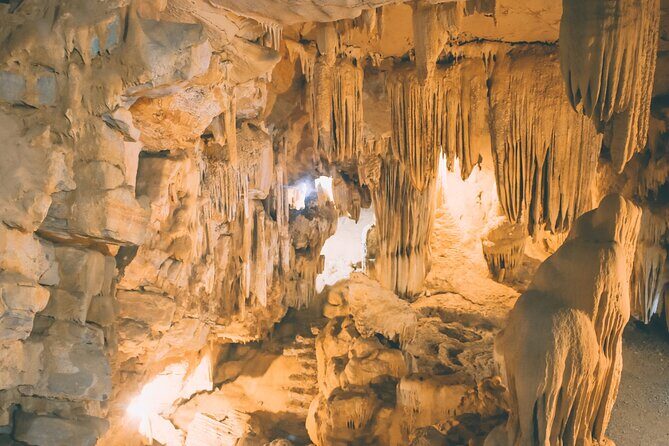 Thung Nham Bird Park, Bich Dong Pagoda, Legendary Caves Tour - Who Is This Tour Best For?