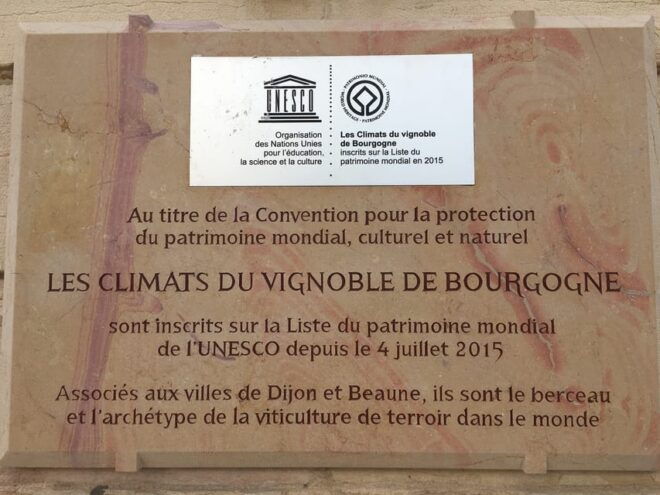 THURSDAY Wines: Wine Tasting in a Secret Location (French Only) - Customer Feedback