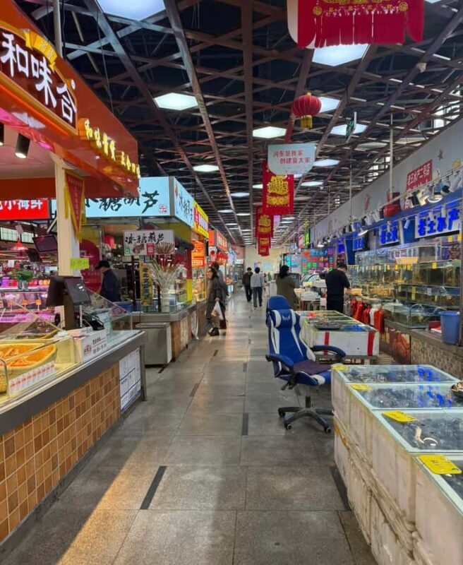 Tianjin Day Tour: Old Town, Mansion, Craft & Local Market - Discovering Tianjin in a Day: An In-Depth Review of the Cultural Tour