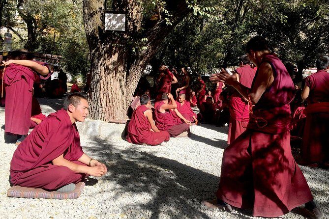 Tibet 8-Day Tour including Mount Everest Base Camp - Exploring Tibet in 8 Days: A Deep Dive