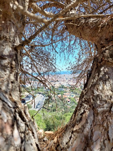 Tibidabo: Modernism in Symbiosis With Nature! - Panoramic City Views