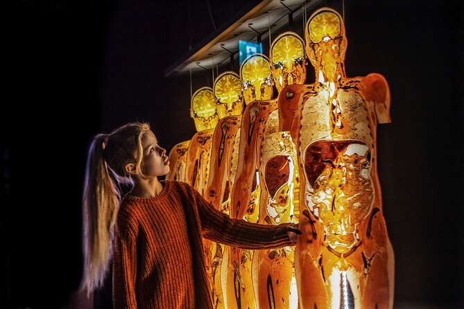 Ticket Expo Body Worlds in Bruges, Belgium - Event Details