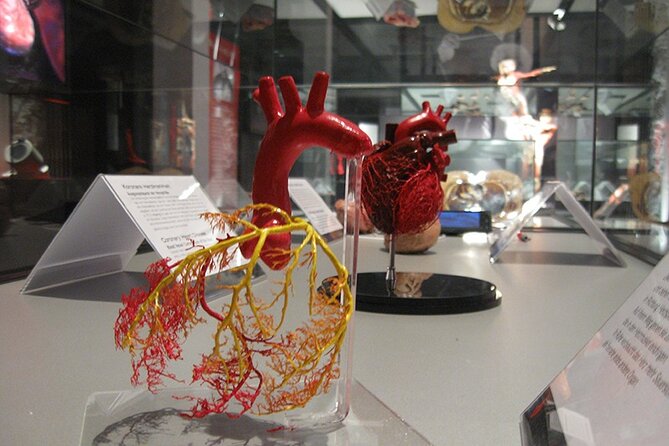 Ticket Expo Body Worlds in Bruges, Belgium - The Sum Up