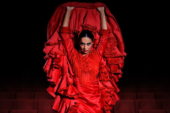 Ticket for Flamenco Show at Madrid Theater - Reviews and Ratings of the Flamenco Show