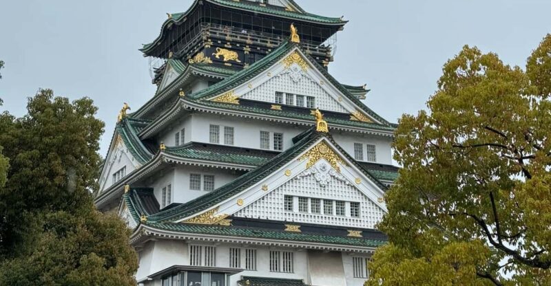(Ticket Included) Explore Osaka Castle & Museum of History - Authentic Insights from Past Participants