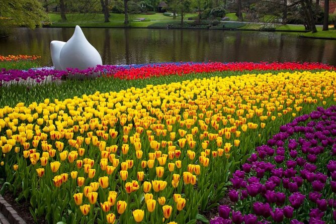 Ticket Keukenhof: Entry Roundtrip Shuttle Bus From Amsterdam - Transportation and Facilities