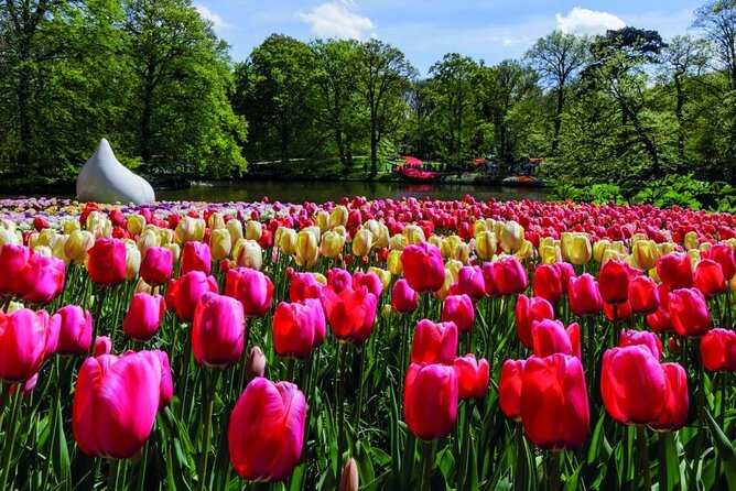Ticket Keukenhof: Entry Roundtrip Shuttle Bus From Amsterdam - Visitor Reviews