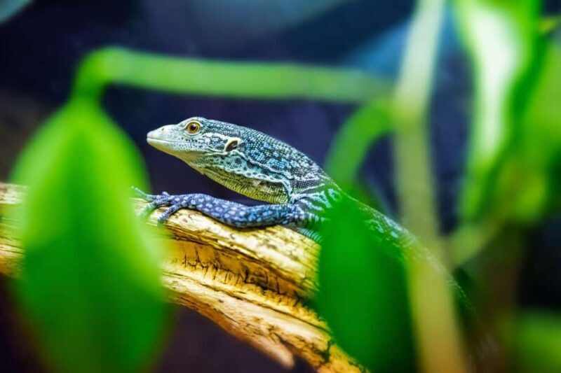 Ticket pack for Zaragoza Amusement Park and Aquarium - What You Can Expect from This Zaragoza Experience