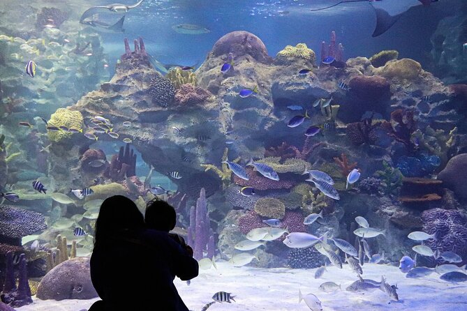 Ticket Pass in Grand Aquarium With Transfer From Hurghada - Transfer Fees and Pickup Points