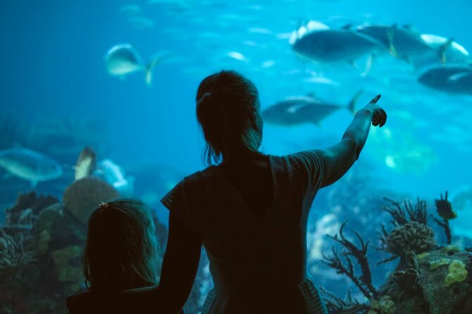 Ticket Pass in Grand Aquarium With Transfer From Hurghada - What To Expect Details
