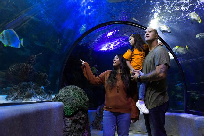 Ticket Pass in Grand Aquarium With Transfer From Hurghada - Infant Seats and Accessibility