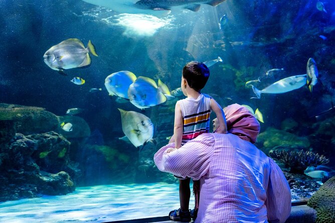 Ticket Pass in Grand Aquarium With Transfer From Hurghada - Cancellation Policy Information