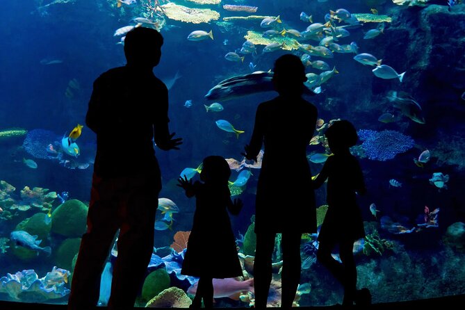 Ticket Pass in Grand Aquarium With Transfer From Hurghada - Pricing and Group Size Variations