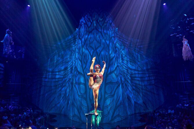 Ticket to Cirque du Soleil JOYÁ - What are the logistics like?