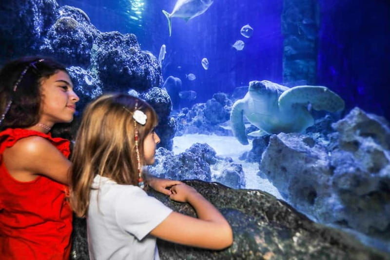 Ticket to SEA LIFE Konstanz - Exploring SEA LIFE Konstanz: A Complete Guide