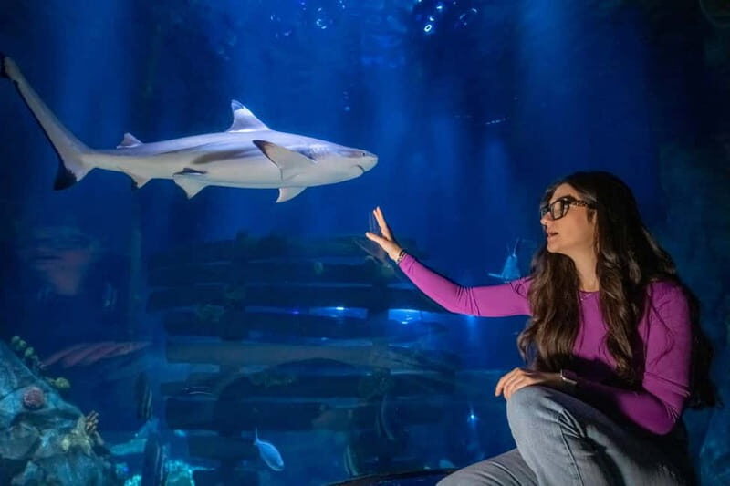 Ticket to SEA LIFE Konstanz - Good To Know