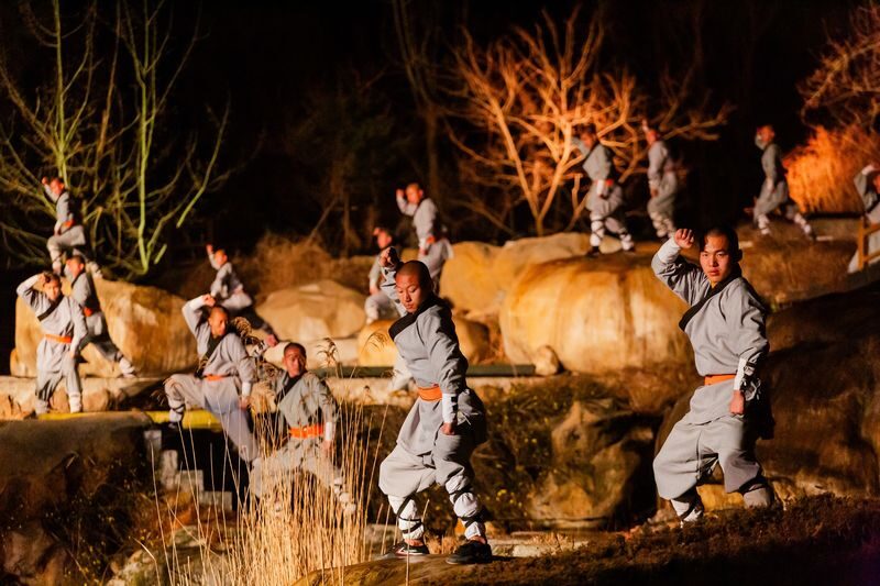 Tickets for Henan "Zen Shaolin Music Festival" - Booking and entry details to check