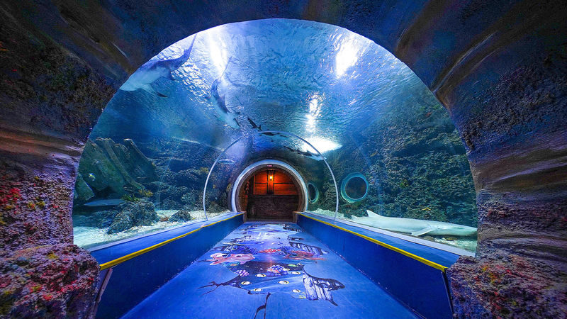 Tickets for Shenzhen Mission Hills Ocean World - Location and practical details
