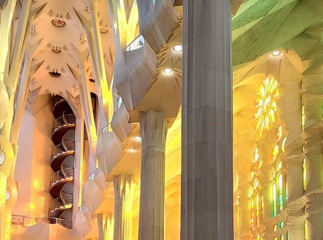 Tickets & Guide: Lights and Shadows of the Sagrada Familia - Customer Reviews and Ratings