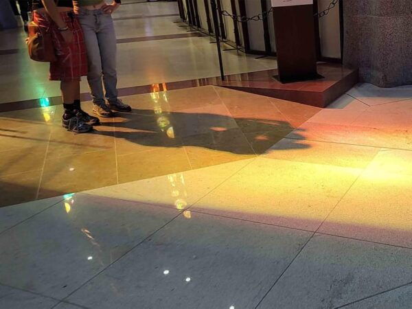 Tickets & Guide: Lights and Shadows of the Sagrada Familia - Accessibility and Sustainability