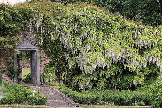 Tickets to Explore Irelands Global Garden - Pricing and Availability