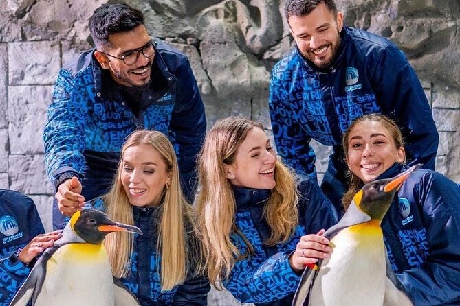 Tickets to Indoor Skiing & Snowboarding at Ski Dubai - Whats Included