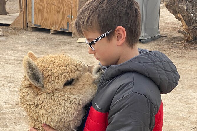Tickets to Nature Health Farms Petting Zoo, Antique Store & Hemp Farm in Pahrump - Pricing and Booking