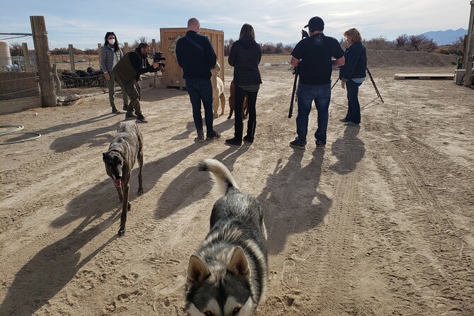 Tickets to Nature Health Farms Petting Zoo, Antique Store & Hemp Farm in Pahrump - Directions