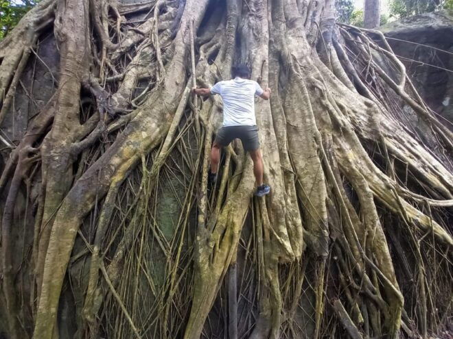 Tien Son Dinh 1-Day Trekking Tour Phu Quoc - Inclusions and Exclusions