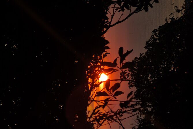 Tien Son Dinh Sunrise Trekking And Coffee - The Experience in Detail: Step-by-Step Breakdown