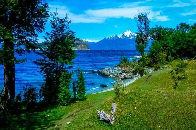 Tierra Del Fuego and Beagle Channel Full-Day Tour From Ushuaia - Cancellation Policy and Reviews