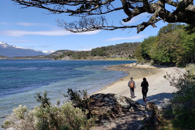 Tierra Del Fuego National Park Private Tour - Tour Highlights