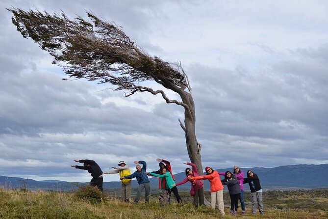 Tierra Del Fuego Tour: Beagle Channel, Penguins, Gable Island (Feb ) - Tour Highlights
