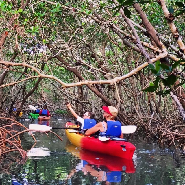 Tierra Verde FL: Coastal Kayaking Tour in Shell Key - Good To Know