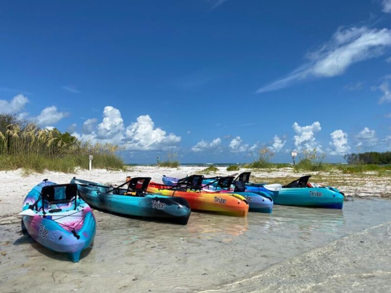 Tierra Verde FL: Coastal Kayaking Tour in Shell Key - An In-Depth Look at the Coastal Kayaking Tour