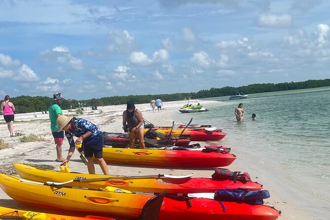 Tierra Verde Private Mangrove Tunnels Kayak Tour Near St. Pete  - St Petersburg - Meeting and Pickup