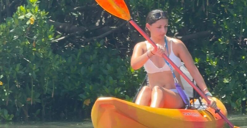 Tierra Verde: Shell Key Mangrove Private Guided 1.5 hr Tour - An In-Depth Look at the Tour Experience