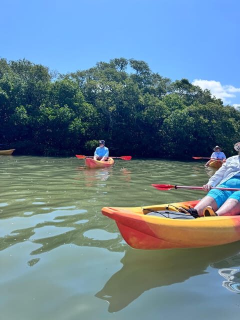 Tierra Verde: Shell Key Mangrove Private Guided 1.5 hr Tour - The Sum Up
