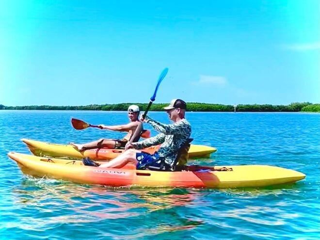 Tierra Verde: Shell Key Mangrove Private Guided 1.5 Hr Tour - Exploring the Shell Key Preserve